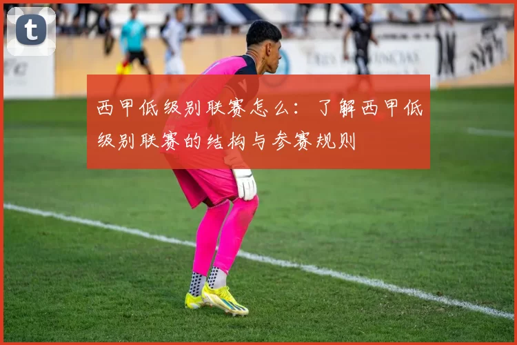 西甲低级别联赛怎么：了解西甲低级别联赛的结构与参赛规则