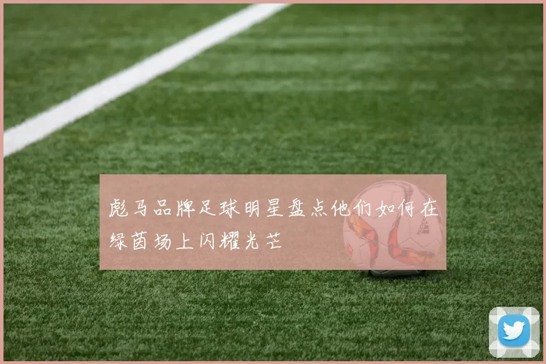 彪马品牌足球明星盘点他们如何在绿茵场上闪耀光芒