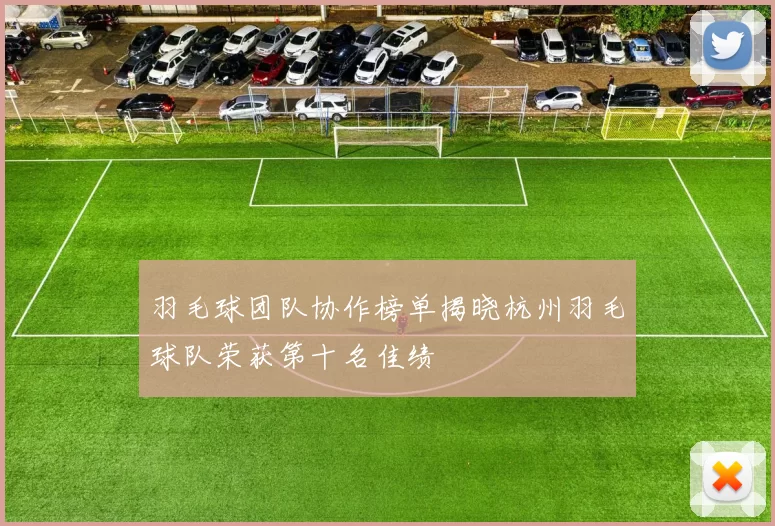 羽毛球团队协作榜单揭晓杭州羽毛球队荣获第十名佳绩