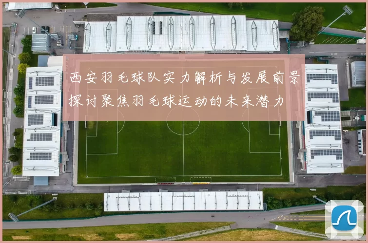 西安羽毛球队实力解析与发展前景探讨聚焦羽毛球运动的未来潜力
