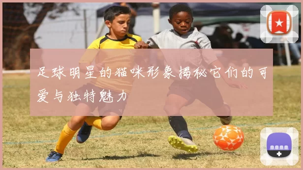 足球明星的猫咪形象揭秘它们的可爱与独特魅力