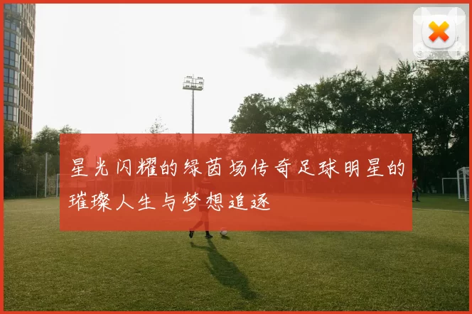 星光闪耀的绿茵场传奇足球明星的璀璨人生与梦想追逐