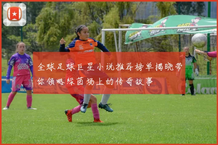 全球足球巨星小说推荐榜单揭晓带你领略绿茵场上的传奇故事