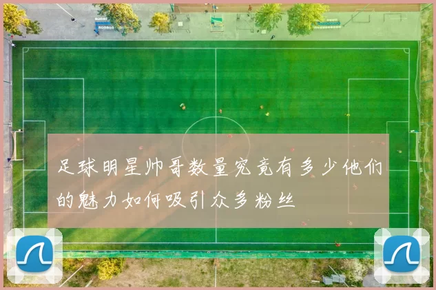 足球明星帅哥数量究竟有多少他们的魅力如何吸引众多粉丝