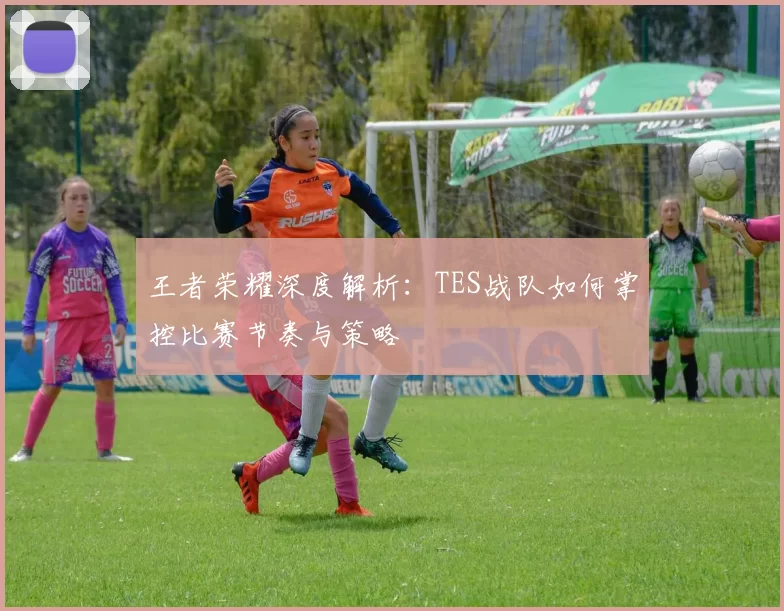 王者荣耀深度解析：TES战队如何掌控比赛节奏与策略