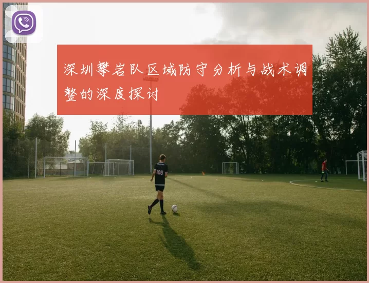 深圳攀岩队区域防守分析与战术调整的深度探讨