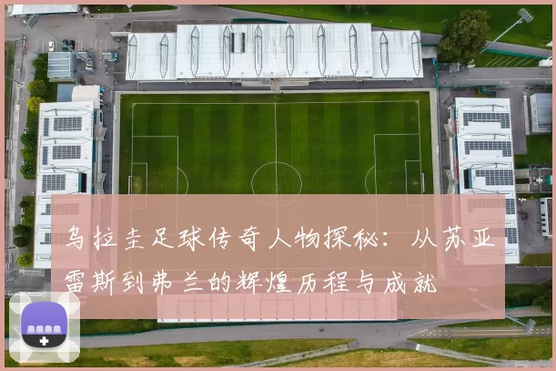 乌拉圭足球传奇人物探秘：从苏亚雷斯到弗兰的辉煌历程与成就