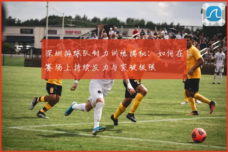 深圳排球队耐力训练揭秘：如何在赛场上持续发力与突破极限