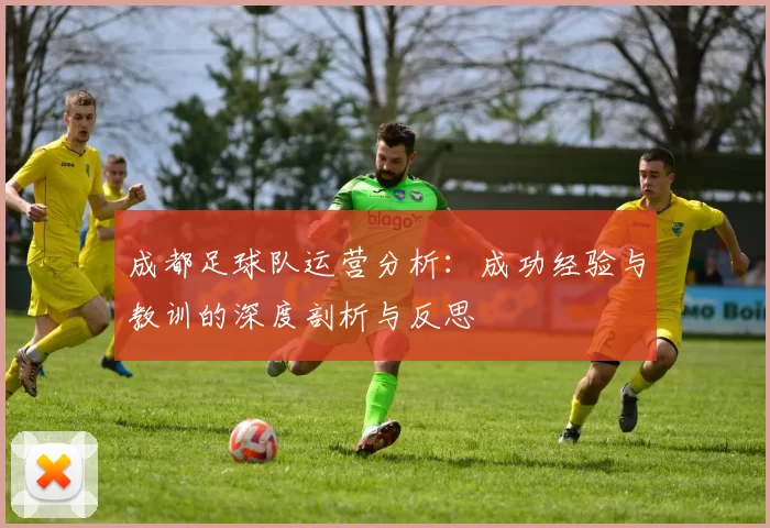 成都足球队运营分析：成功经验与教训的深度剖析与反思