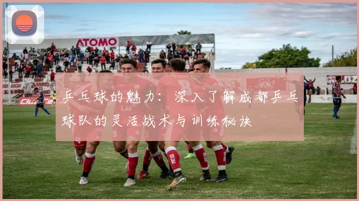 乒乓球的魅力：深入了解成都乒乓球队的灵活战术与训练秘诀