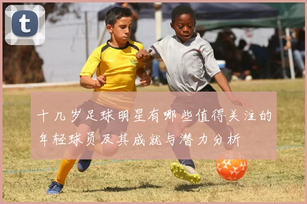 十几岁足球明星有哪些值得关注的年轻球员及其成就与潜力分析