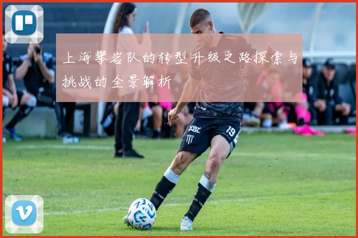 上海攀岩队的转型升级之路探索与挑战的全景解析