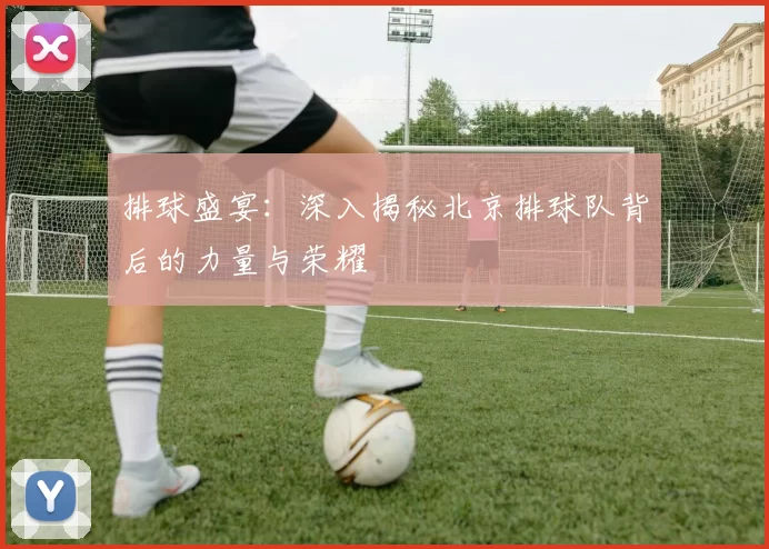 排球盛宴：深入揭秘北京排球队背后的力量与荣耀