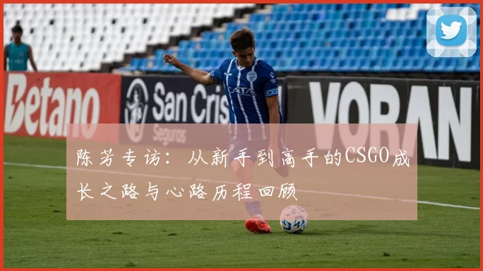 陈芳专访：从新手到高手的CSGO成长之路与心路历程回顾