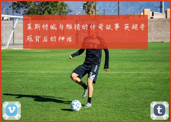 莱斯特城与维猜的传奇故事 英超夺冠背后的神话