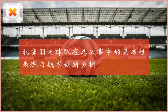 北京羽毛球队在总决赛中的灵活性表现与战术创新分析