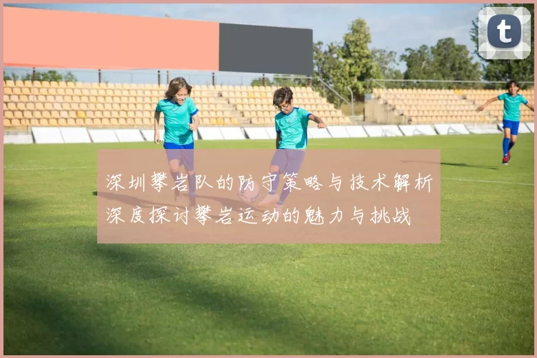 深圳攀岩队的防守策略与技术解析深度探讨攀岩运动的魅力与挑战