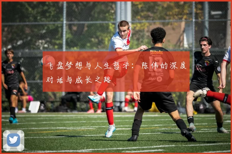飞盘梦想与人生哲学：陈伟的深度对话与成长之路