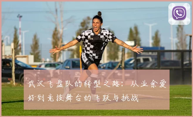 武汉飞盘队的转型之路：从业余爱好到竞技舞台的飞跃与挑战