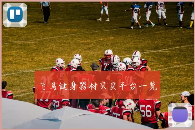 飞鸟健身器材买卖平台一览