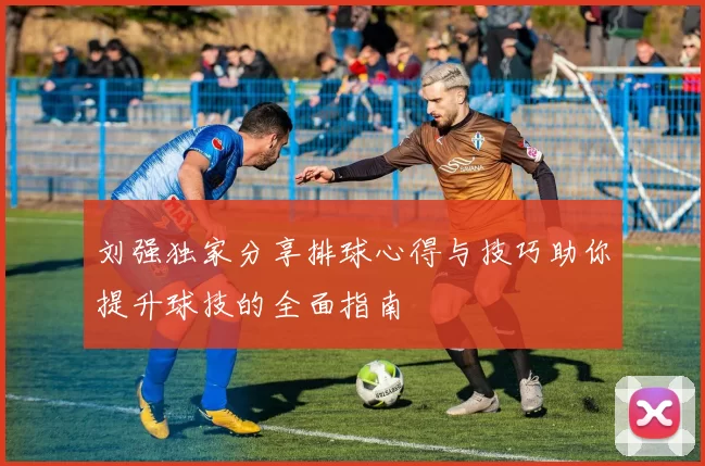 刘强独家分享排球心得与技巧助你提升球技的全面指南