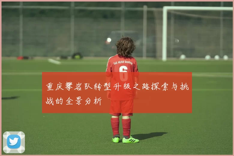 重庆攀岩队转型升级之路探索与挑战的全景分析
