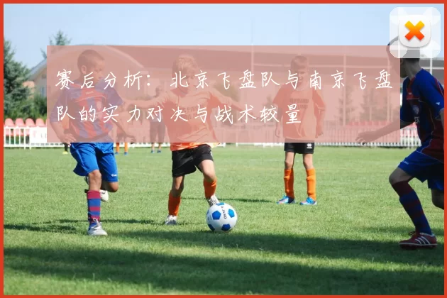 赛后分析：北京飞盘队与南京飞盘队的实力对决与战术较量