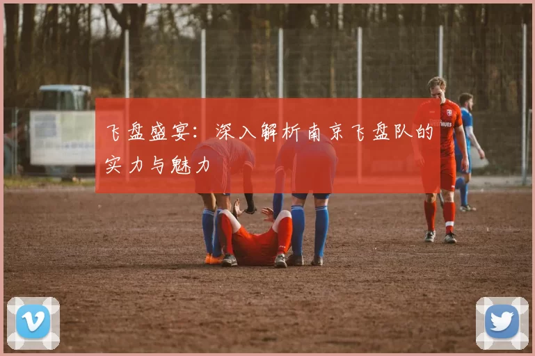 飞盘盛宴：深入解析南京飞盘队的实力与魅力