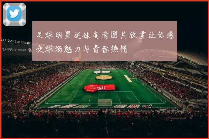 足球明星迷妹高清图片欣赏让你感受球场魅力与青春热情
